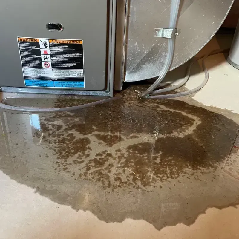 Appliance Leak Cleanup in Rouses Point, NY